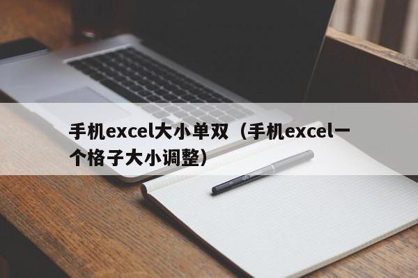 手机excel大小单双(手机excel一个格子大小调整)
