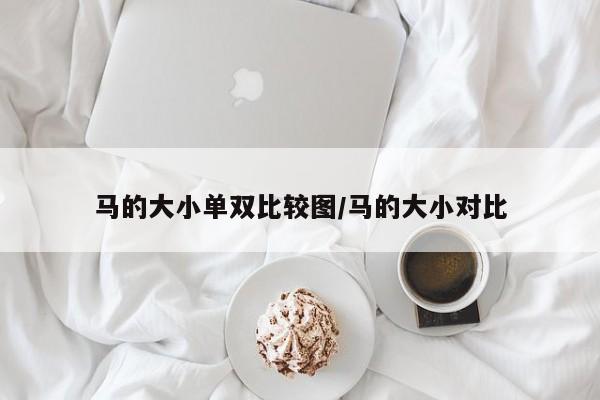 马的大小单双比较图/马的大小对比
