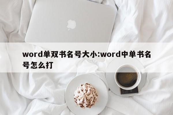 word单双书名号大小:word中单书名号怎么打