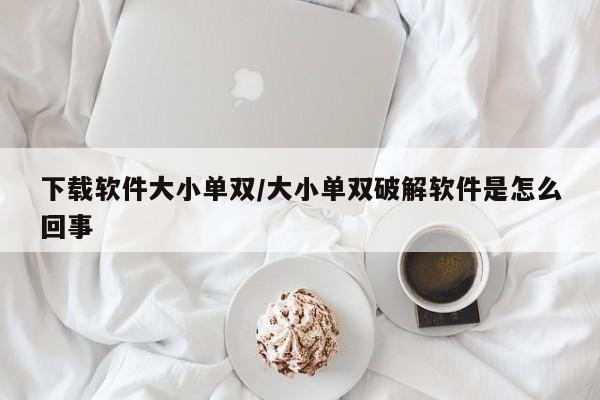 下载软件大小单双/大小单双破解软件是怎么回事