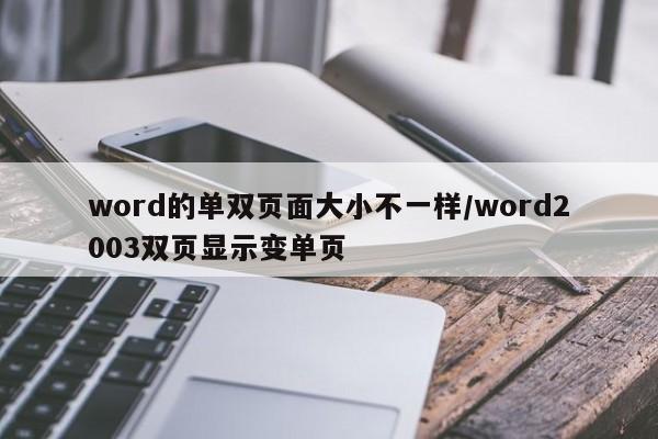word的单双页面大小不一样/word2003双页显示变单页